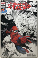 The Amazing Spider-Man