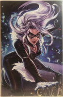 The Amazing Spider-Man