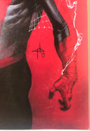 The Amazing Spider-Man