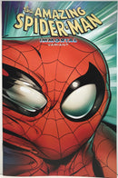 The Amazing Spider-Man