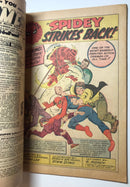 The Amazing Spider-Man