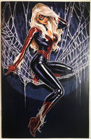 The Amazing Spider-Man