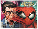 The Amazing Spider-Man