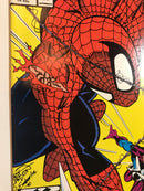 The Amazing Spider-Man