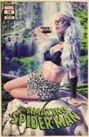 The Amazing Spider-Man