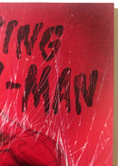 The Amazing Spider-Man