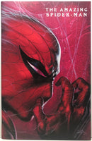 The Amazing Spider-Man