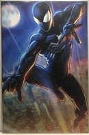 Symbiote Spider-Man