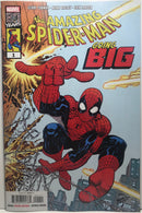 The Amazing Spider-Man Going Big