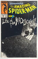 The Amazing Spider-Man