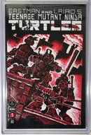 Teenage Mutant Ninja Turtles